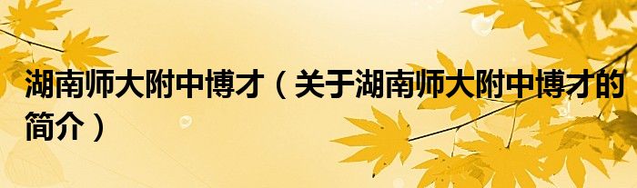 湖南師大附中博才（關(guān)于湖南師大附中博才的簡介）