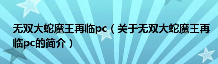 無雙大蛇魔王再臨pc（關(guān)于無雙大蛇魔王再臨pc的簡介）