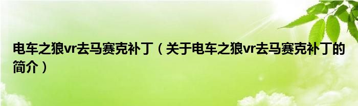 電車之狼vr去馬賽克補(bǔ)?。P(guān)于電車之狼vr去馬賽克補(bǔ)丁的簡(jiǎn)介）