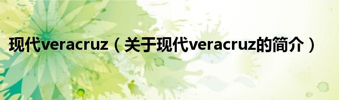 現(xiàn)代veracruz（關(guān)于現(xiàn)代veracruz的簡介）