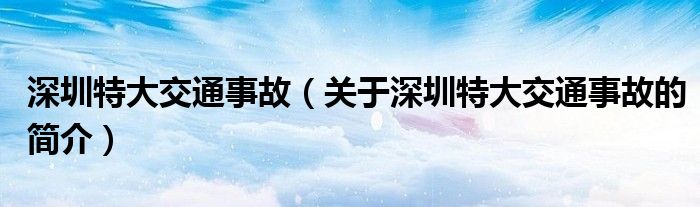 深圳特大交通事故（關(guān)于深圳特大交通事故的簡介）