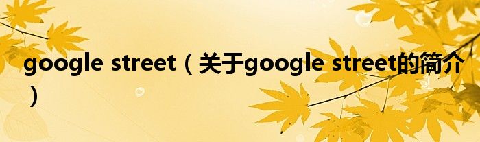 google street（關(guān)于google street的簡介）