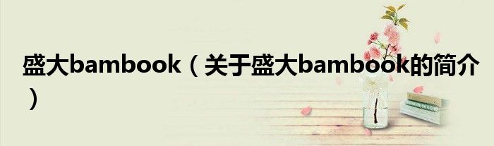 盛大bambook（關(guān)于盛大bambook的簡介）