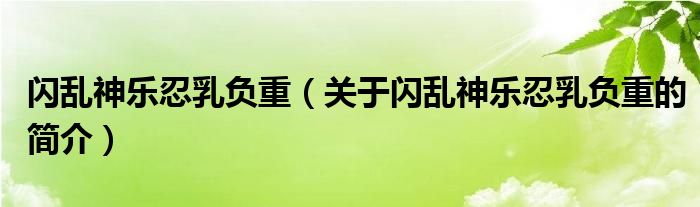 閃亂神樂忍乳負(fù)重（關(guān)于閃亂神樂忍乳負(fù)重的簡介）