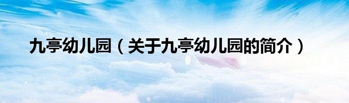 九亭幼兒園（關于九亭幼兒園的簡介）