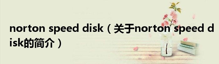 norton speed disk（關(guān)于norton speed disk的簡(jiǎn)介）