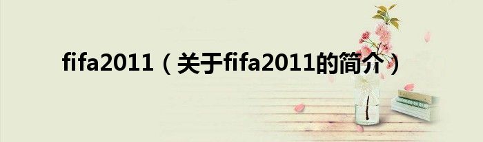 fifa2011（關(guān)于fifa2011的簡(jiǎn)介）