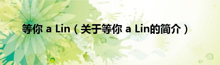 等你 a Lin（關(guān)于等你 a Lin的簡介）