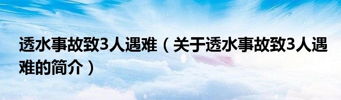 透水事故致3人遇難（關(guān)于透水事故致3人遇難的簡介）