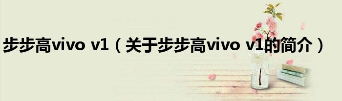 步步高vivo v1（關于步步高vivo v1的簡介）