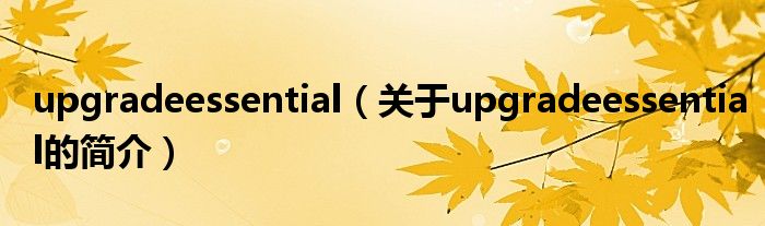 upgradeessential（關(guān)于upgradeessential的簡(jiǎn)介）