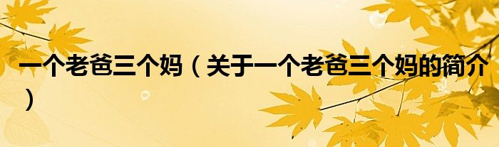 一個(gè)老爸三個(gè)媽（關(guān)于一個(gè)老爸三個(gè)媽的簡(jiǎn)介）