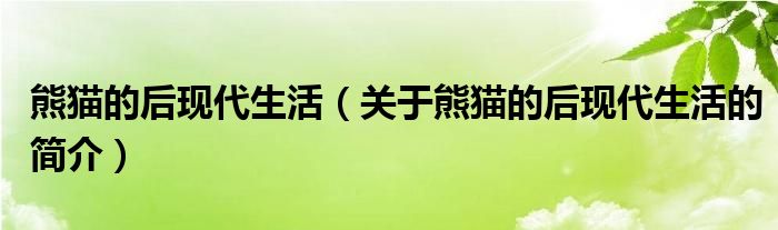 熊貓的后現(xiàn)代生活（關于熊貓的后現(xiàn)代生活的簡介）