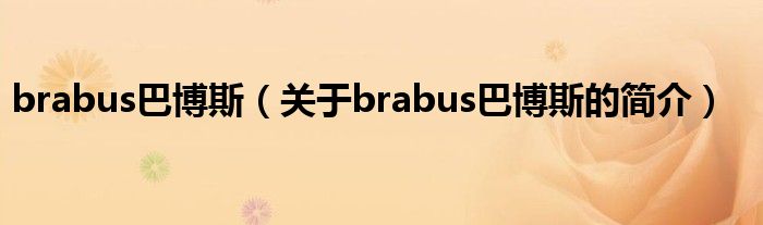 brabus巴博斯（關于brabus巴博斯的簡介）