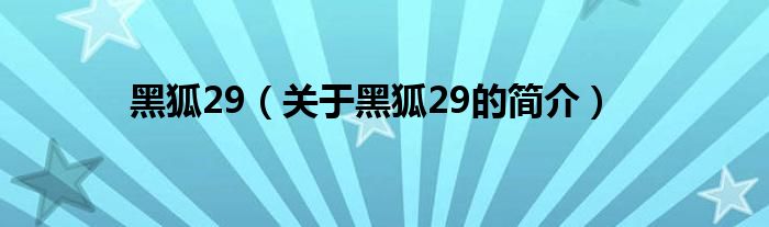 黑狐29（關(guān)于黑狐29的簡介）