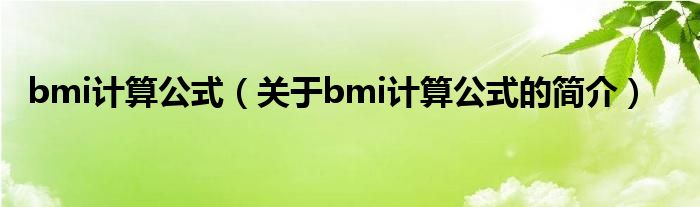 bmi計算公式（關(guān)于bmi計算公式的簡介）