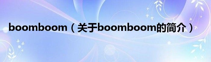 boomboom（關(guān)于boomboom的簡(jiǎn)介）