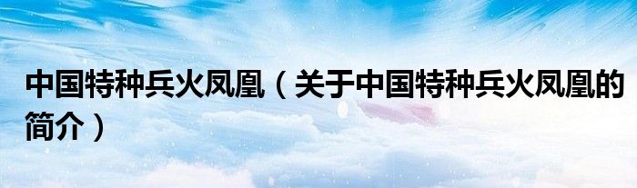 中國特種兵火鳳凰（關(guān)于中國特種兵火鳳凰的簡介）