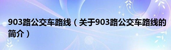 903路公交車路線（關(guān)于903路公交車路線的簡(jiǎn)介）