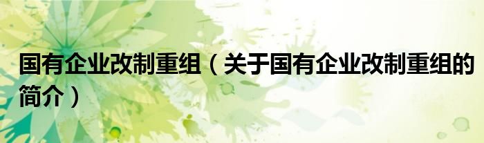 國(guó)有企業(yè)改制重組（關(guān)于國(guó)有企業(yè)改制重組的簡(jiǎn)介）