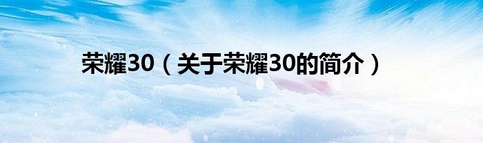 榮耀30（關(guān)于榮耀30的簡(jiǎn)介）