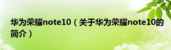 華為榮耀note10（關于華為榮耀note10的簡介）