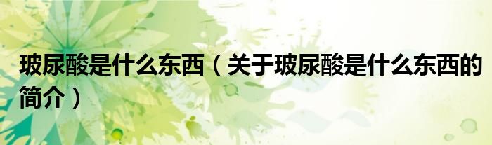 玻尿酸是什么東西（關(guān)于玻尿酸是什么東西的簡(jiǎn)介）