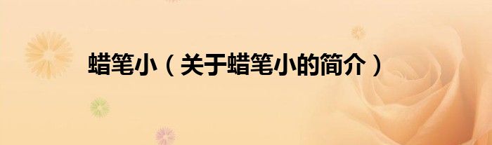 蠟筆?。P(guān)于蠟筆小的簡(jiǎn)介）