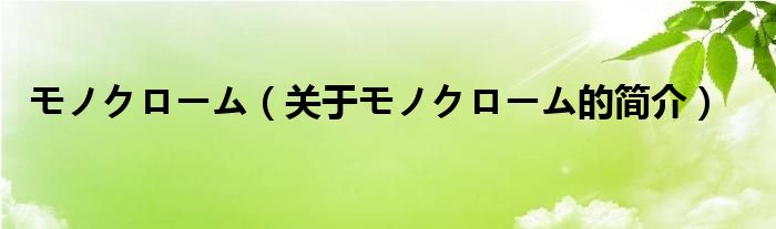 モノクローム（關(guān)于モノクローム的簡介）