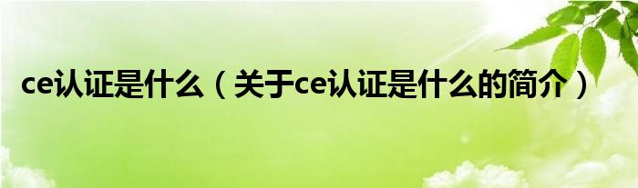 ce認證是什么（關(guān)于ce認證是什么的簡介）