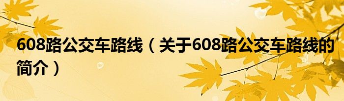 608路公交車(chē)路線(xiàn)（關(guān)于608路公交車(chē)路線(xiàn)的簡(jiǎn)介）