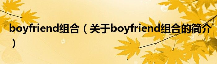 boyfriend組合（關(guān)于boyfriend組合的簡介）