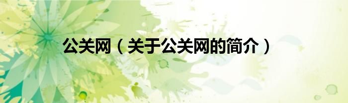 公關(guān)網(wǎng)（關(guān)于公關(guān)網(wǎng)的簡(jiǎn)介）