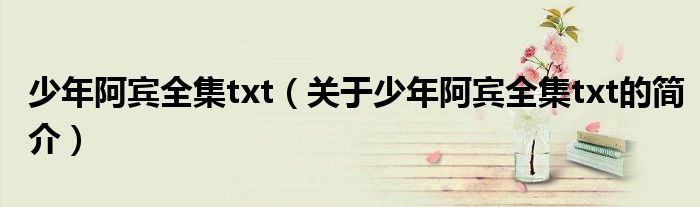 少年阿賓全集txt（關(guān)于少年阿賓全集txt的簡介）