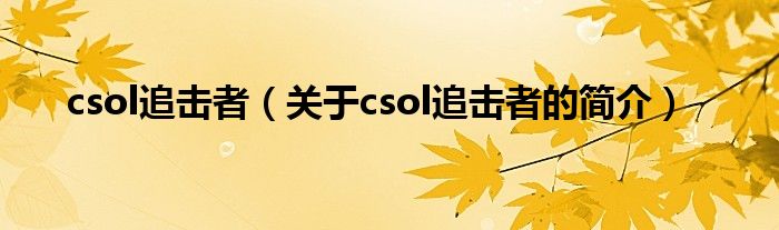 csol追擊者（關于csol追擊者的簡介）