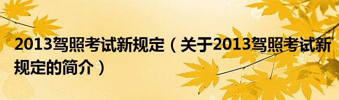 2013駕照考試新規(guī)定（關于2013駕照考試新規(guī)定的簡介）