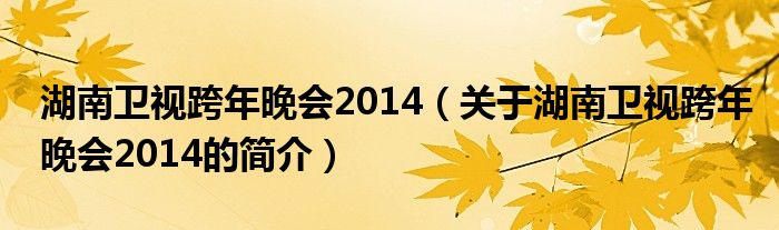 湖南衛(wèi)視跨年晚會2014（關(guān)于湖南衛(wèi)視跨年晚會2014的簡介）