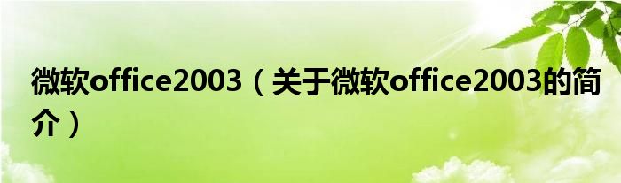 微軟office2003（關(guān)于微軟office2003的簡(jiǎn)介）