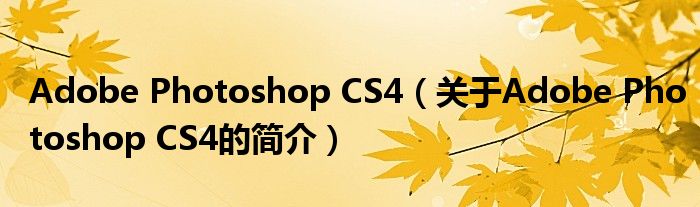 Adobe Photoshop CS4（關(guān)于Adobe Photoshop CS4的簡介）