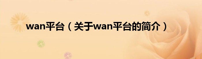 wan平臺(tái)（關(guān)于wan平臺(tái)的簡(jiǎn)介）