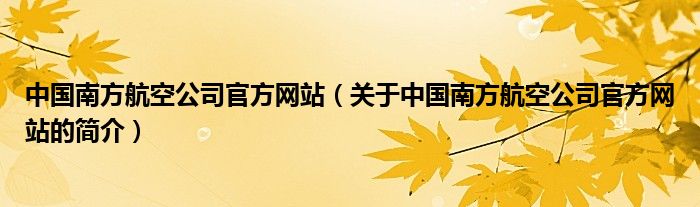 中國南方航空公司官方網(wǎng)站（關于中國南方航空公司官方網(wǎng)站的簡介）