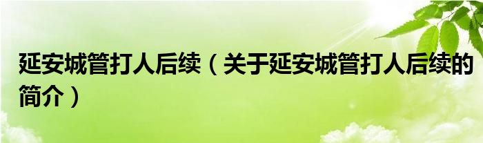 延安城管打人后續(xù)（關(guān)于延安城管打人后續(xù)的簡(jiǎn)介）