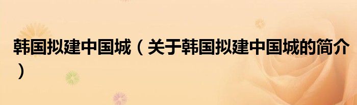 韓國(guó)擬建中國(guó)城（關(guān)于韓國(guó)擬建中國(guó)城的簡(jiǎn)介）