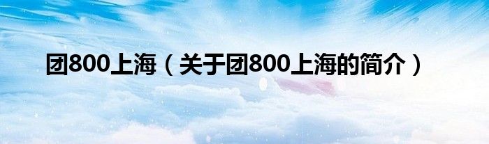 團(tuán)800上海（關(guān)于團(tuán)800上海的簡介）