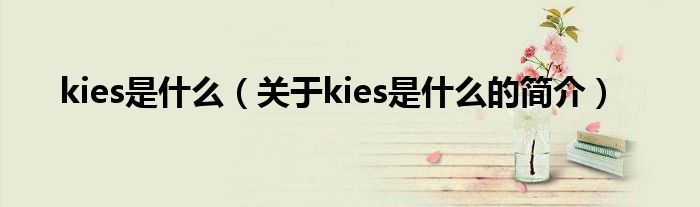 kies是什么（關(guān)于kies是什么的簡(jiǎn)介）