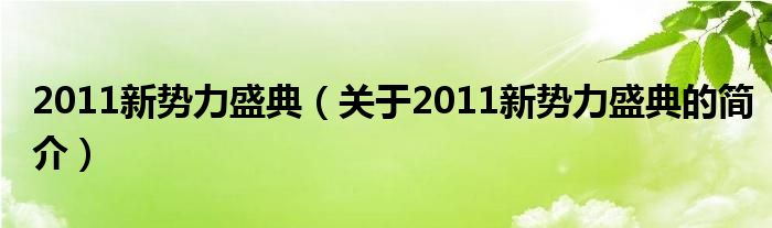 2011新勢(shì)力盛典（關(guān)于2011新勢(shì)力盛典的簡(jiǎn)介）