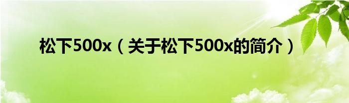 松下500x（關于松下500x的簡介）