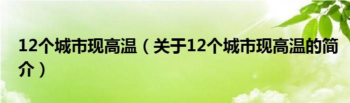 12個城市現(xiàn)高溫（關(guān)于12個城市現(xiàn)高溫的簡介）