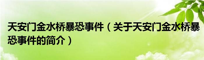 天安門金水橋暴恐事件（關(guān)于天安門金水橋暴恐事件的簡(jiǎn)介）