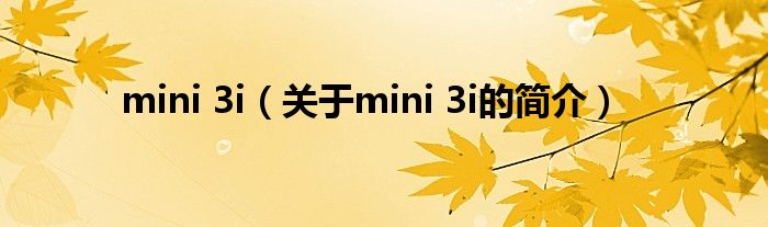 mini 3i（關(guān)于mini 3i的簡介）